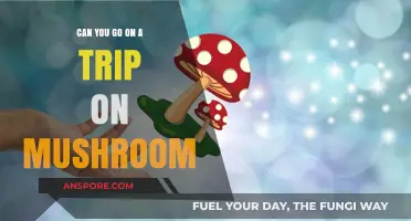 Exploring the World of Psychedelic Travel: Can Mushrooms Take You There?