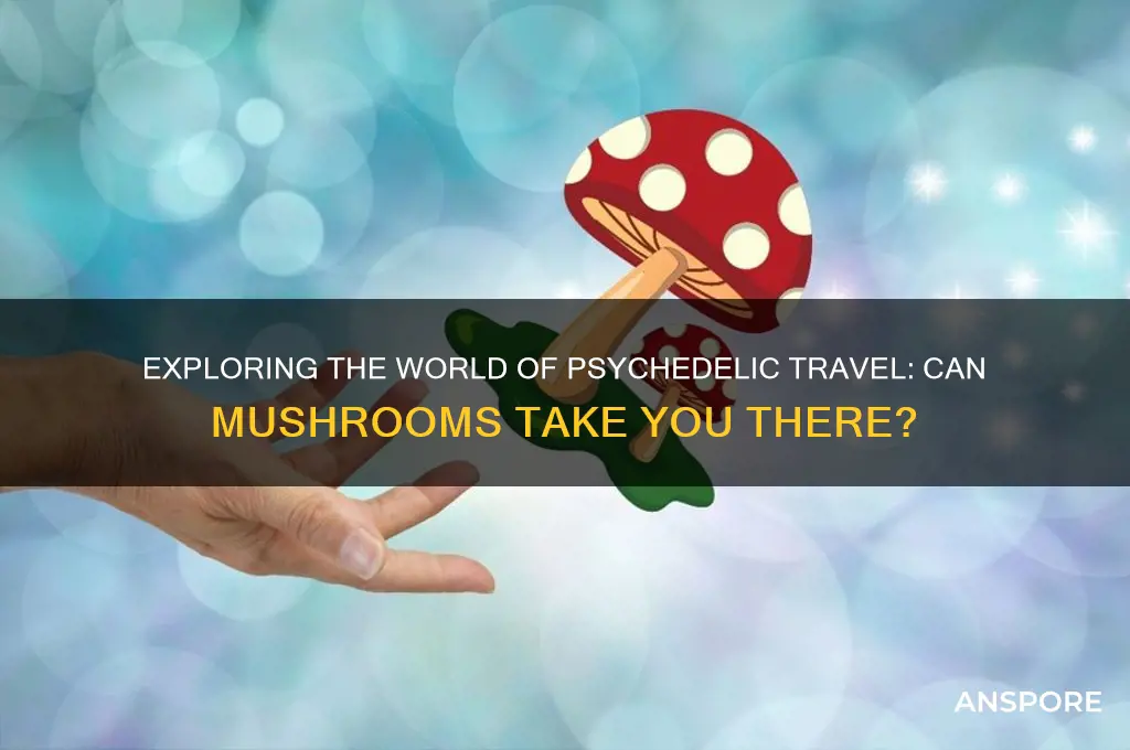 can you go on a trip on mushroom