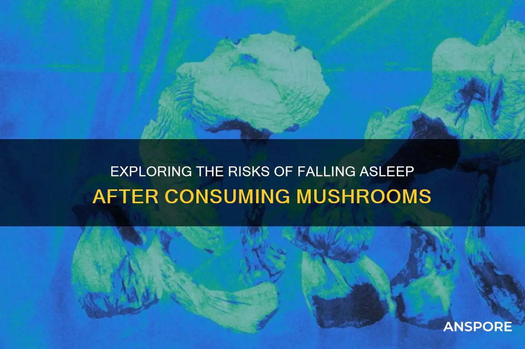 can you go to sleep on mushrooms