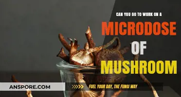 Microdosing Mushrooms at Work: Benefits, Risks, and Workplace Implications