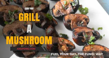 Mastering the Art of Grilling Mushrooms: Tips and Techniques