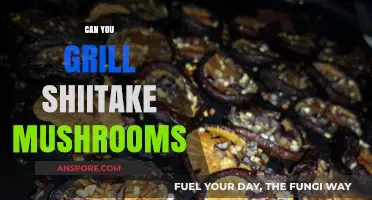 Grilling Shiitake Mushrooms: Tips for Perfect Smoky Flavor