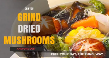 Grinding Dried Mushrooms: Techniques, Benefits, and Culinary Uses Explained