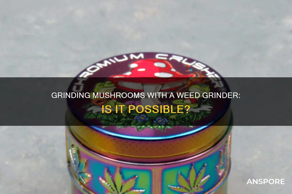can you grind mushrooms with a weed grinder