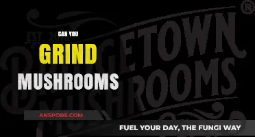 Grinding Mushrooms: Techniques, Benefits, and Culinary Uses Explained