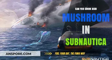 Growing Acid Mushrooms in Subnautica: Myth or Survival Tactic?