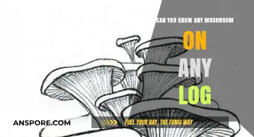 Can Any Mushroom Thrive on Any Log? Exploring Fungal Compatibility