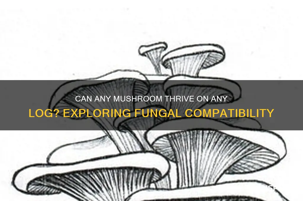 can you grow any mushroom on any log