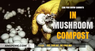 Growing Carrots in Mushroom Compost: Benefits, Tips, and Best Practices