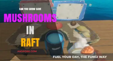 Growing Cave Mushrooms in Raft: Feasibility and Tips for Success