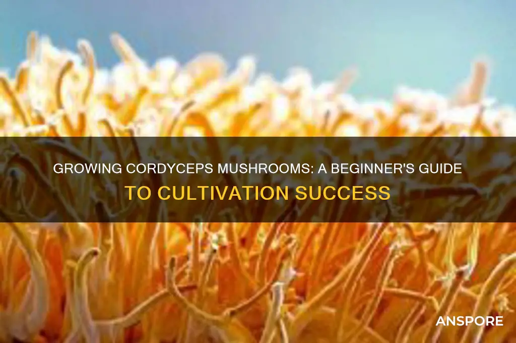 can you grow cordyceps mushrooms