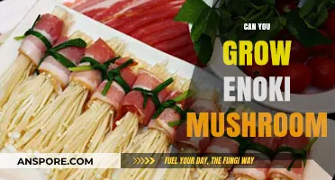 How to Successfully Grow Enoki Mushrooms at Home: A Guide