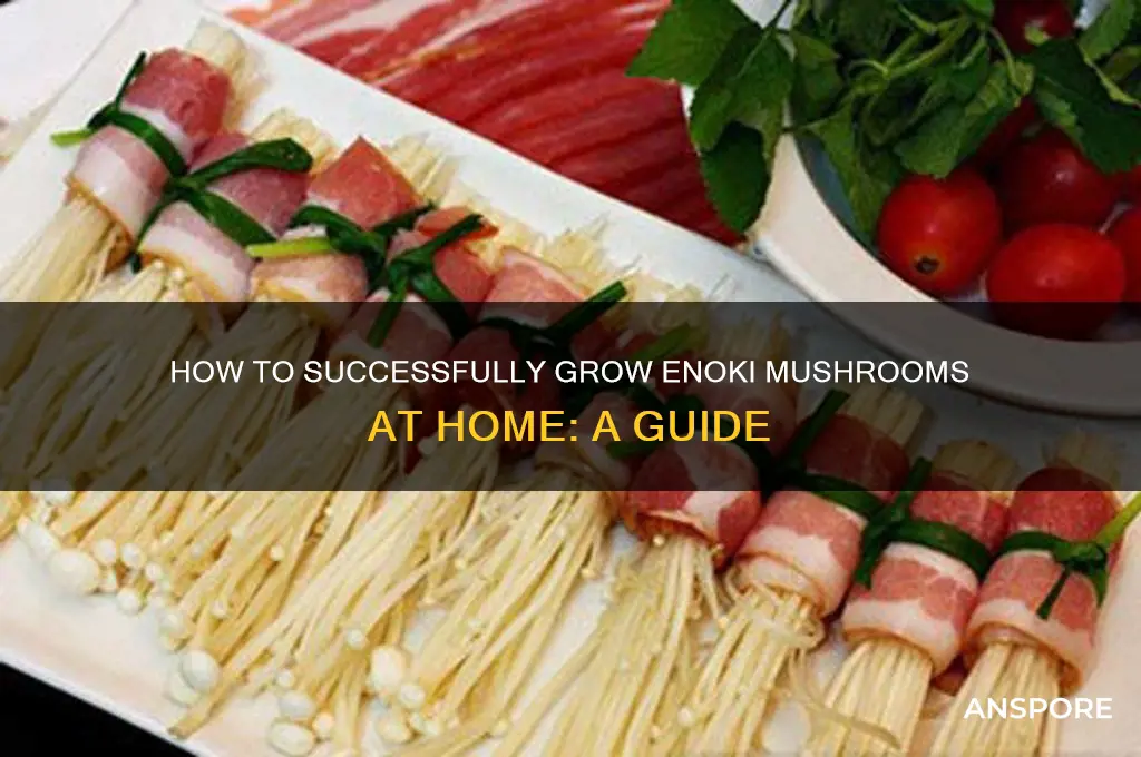 can you grow enoki mushrooms