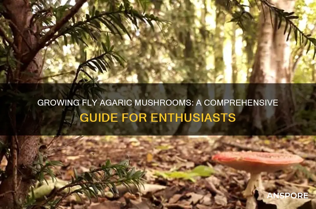 can you grow fly agaric mushrooms