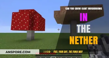 Growing Giant Mushrooms in the Nether: Myth or Reality?