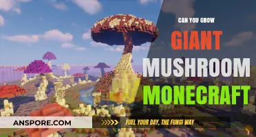 Growing Giant Mushrooms in Minecraft: Tips and Tricks for Success