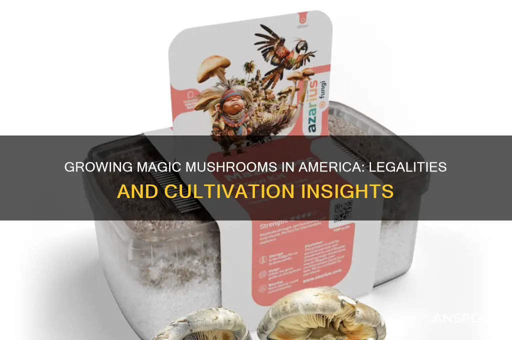 can you grow magic mushrooms in ameria
