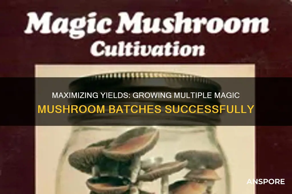 can you grow multiple batches of magic mushrooms
