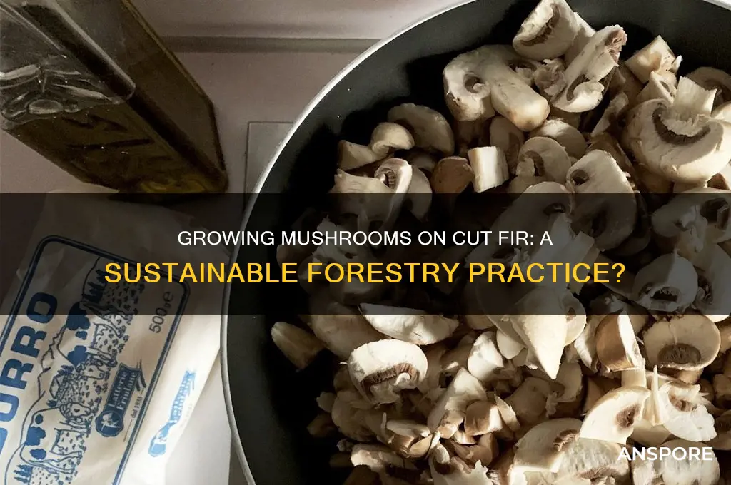 can you grow mushroom on cut fir