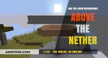 Growing Mushrooms Above the Nether: Possibilities and Practical Tips