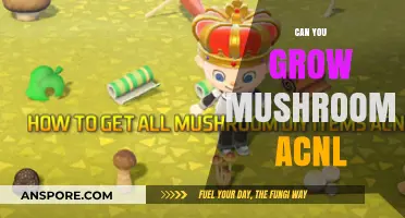 Growing Mushrooms in Animal Crossing: New Leaf - Tips and Tricks