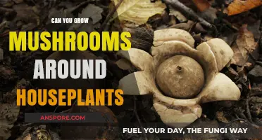 Growing Mushrooms Alongside Houseplants: Benefits, Tips, and Best Practices