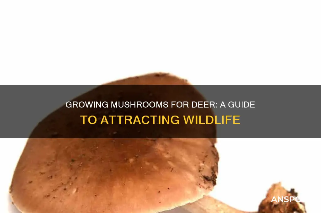can you grow mushrooms for deer
