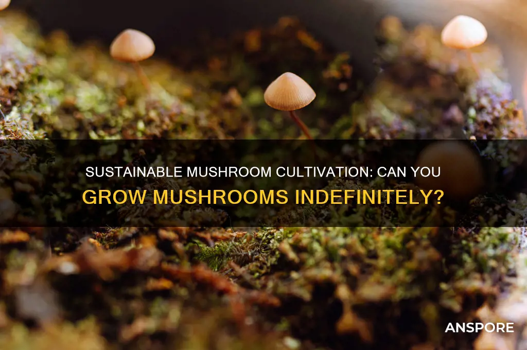 can you grow mushrooms forever