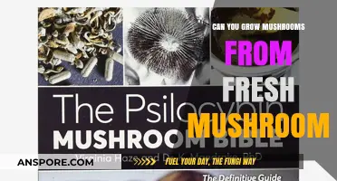 Growing Mushrooms from Fresh Mushrooms: A Beginner's Guide to Cultivation