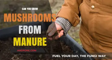 Growing Mushrooms from Manure: A Comprehensive Guide for Beginners