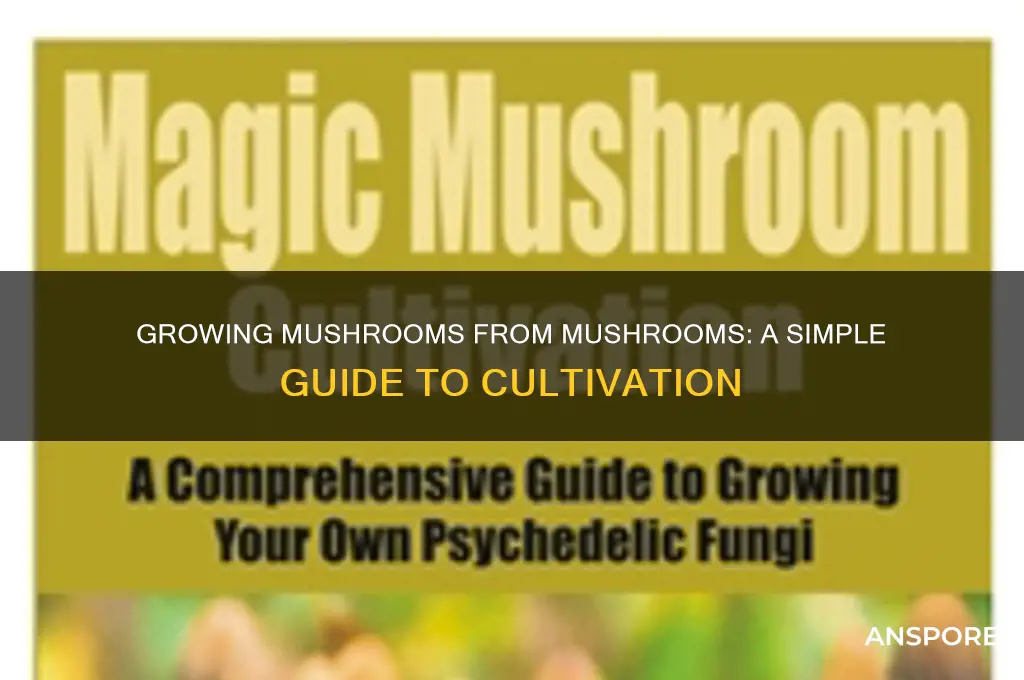 can you grow mushrooms from mushrooms