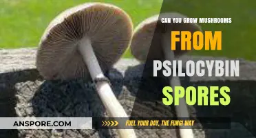 Growing Psilocybin Mushrooms: Can Spores Yield Psychedelic Results?