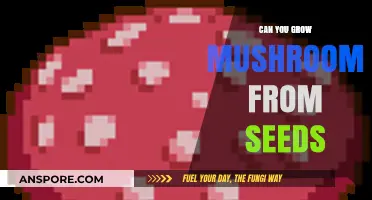 Growing Mushrooms from Seeds: Myth or Reality Explained
