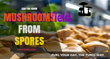 Growing Mushrooms from Spores: A Beginner's Guide to Cultivation