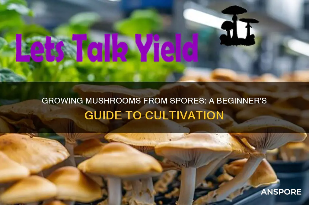 can you grow mushrooms from spores