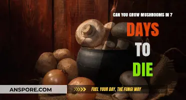 Growing Mushrooms in 7 Days to Die: Quick Survival Farming Tips