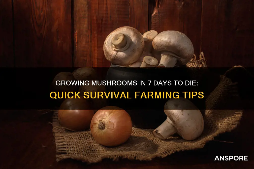 can you grow mushrooms in 7 days to die
