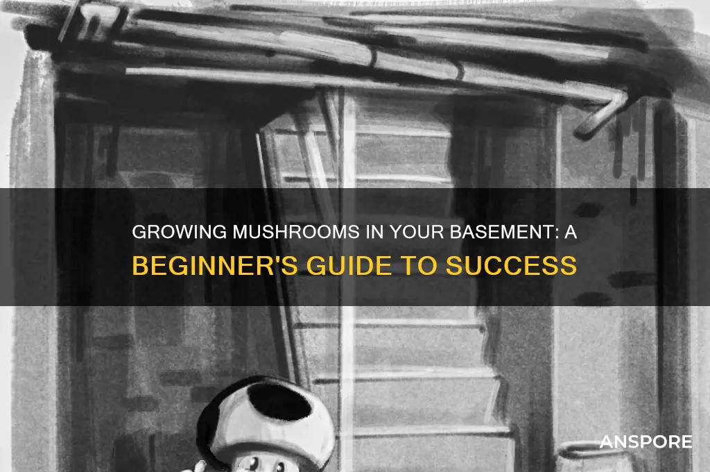 can you grow mushrooms in a basement