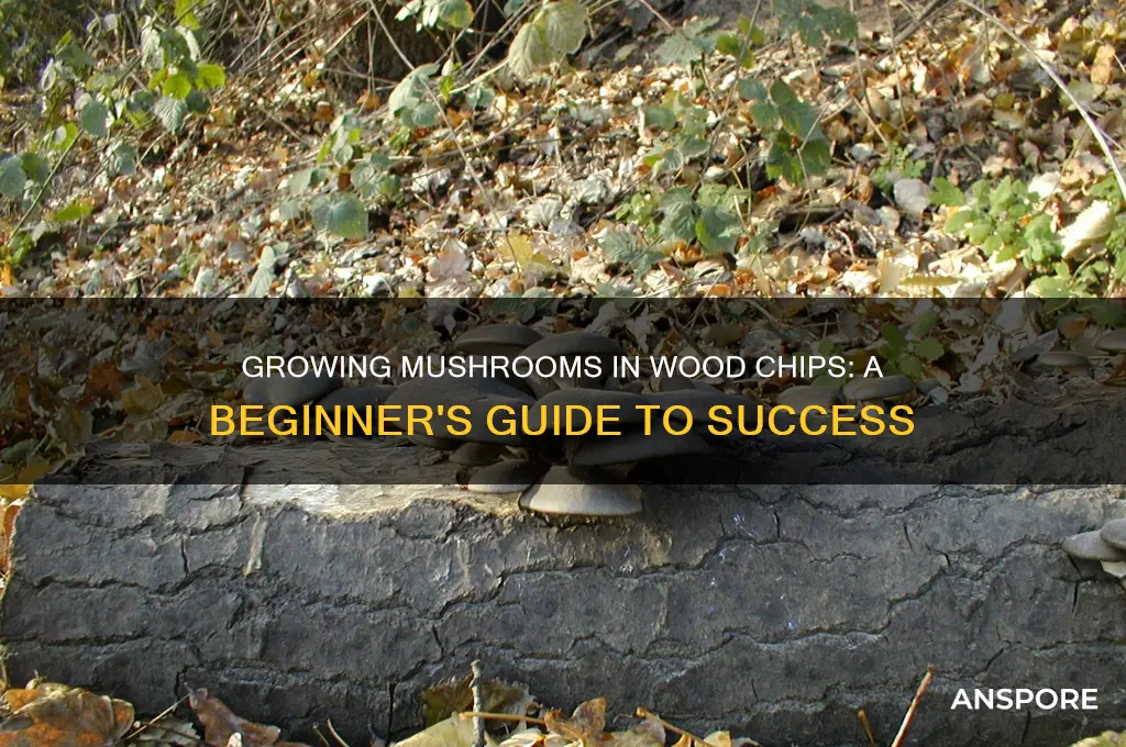 can you grow mushrooms in a wood chipw