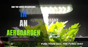 Growing Mushrooms in an AeroGarden: Is It Possible?