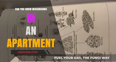 Apartment Mushroom Farming: Tips for Growing Fungi in Small Spaces