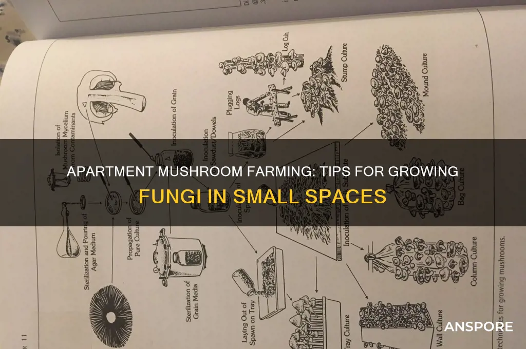 can you grow mushrooms in an apartment