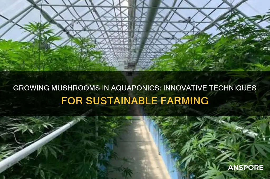 can you grow mushrooms in aquaponics