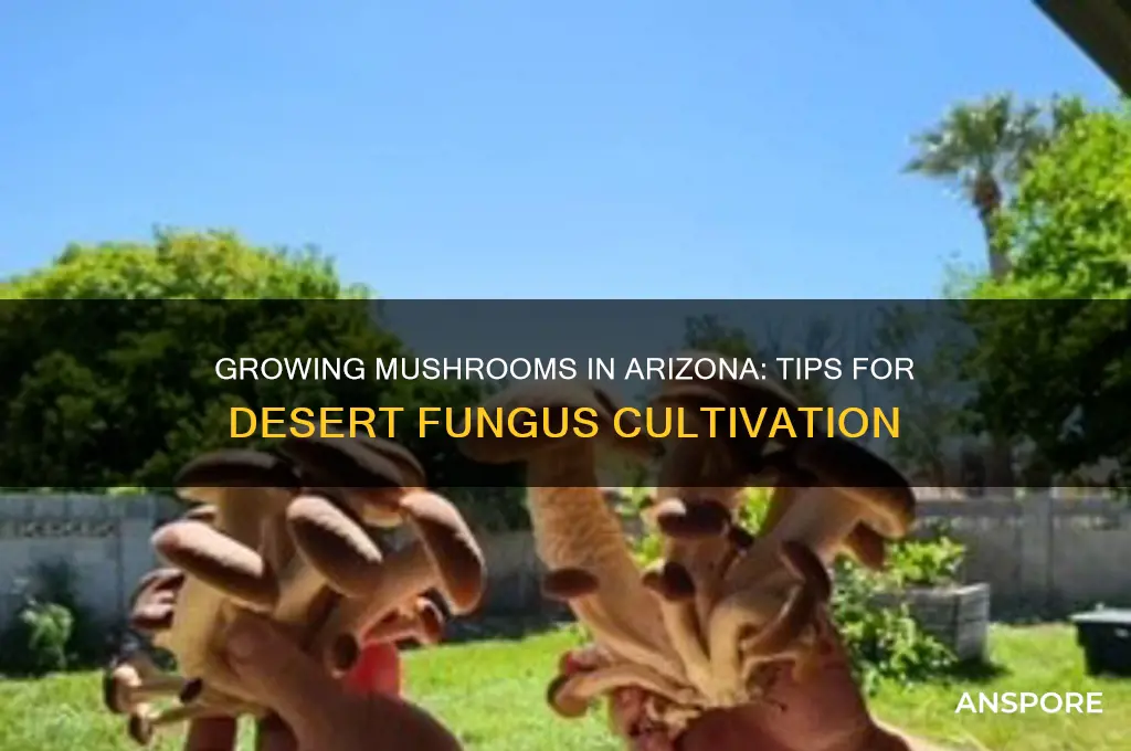 can you grow mushrooms in arizona