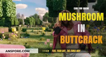 Growing Mushrooms in Unusual Places: The Buttcrack Myth Explored
