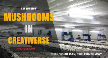 Growing Mushrooms in Creativerse: Tips, Tricks, and Possibilities