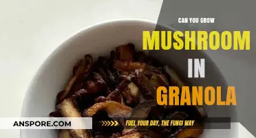 Growing Mushrooms in Granola: A Creative Culinary Experiment Explored