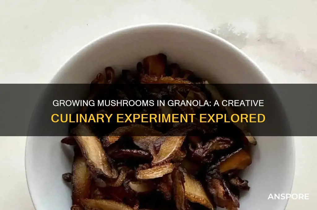 can you grow mushrooms in granola