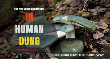 Growing Mushrooms in Human Dung: Risks, Benefits, and Ethical Concerns