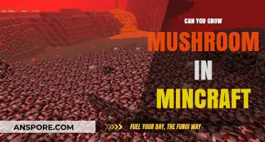 Growing Mushrooms in Minecraft: Tips, Tricks, and Possibilities